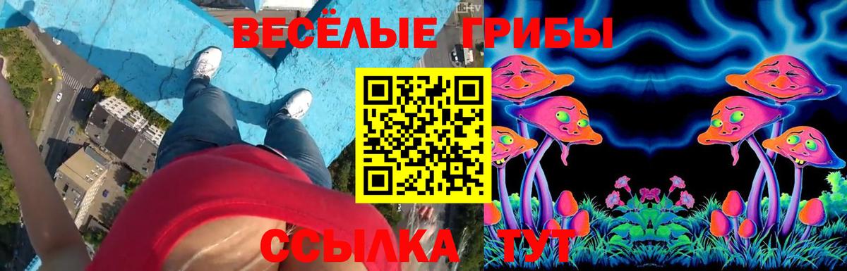 Галлюциногенные грибы ЛСД  Вход с VPN  Галлюциногенные грибы GOLDEN TEACHER  Волхов 